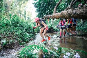 BIB: 
                            <button type="button" onclick="openModal(25454064)" class="btn btn-primary btn-sm float-right btn-popup" data-toggle="modal" data-target=".modal-high-quality">
                        <i class="fas fa-shopping-cart"></i> Add to Cart
                    </button>
                                            <button type="button" onclick="isThisMe(25454064, true)" class="btn btn-success btn-sm float-right btn-popup btn-isme hidden" data-toggle="tooltip" data-placement="bottom" title="นี่คือรูปของคุณใช่ไหม คลิกที่นี่เพื่อเอาเข้าอัลบั้ม">
                        <i class="fas fa-plus"></i> Add to album
                    </button>
                    <button type="button" onclick="isThisMe(25454064, false)" class="btn btn-warning btn-sm float-right btn-popup btn-isnotme hidden">
                        <i class="fas fa-ban"></i> Remove from album
                    </button>